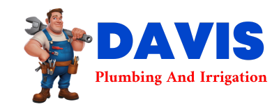 Trusted plumber in DRISCOLL